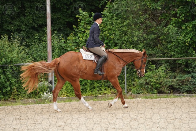 sA9K09984.JPG